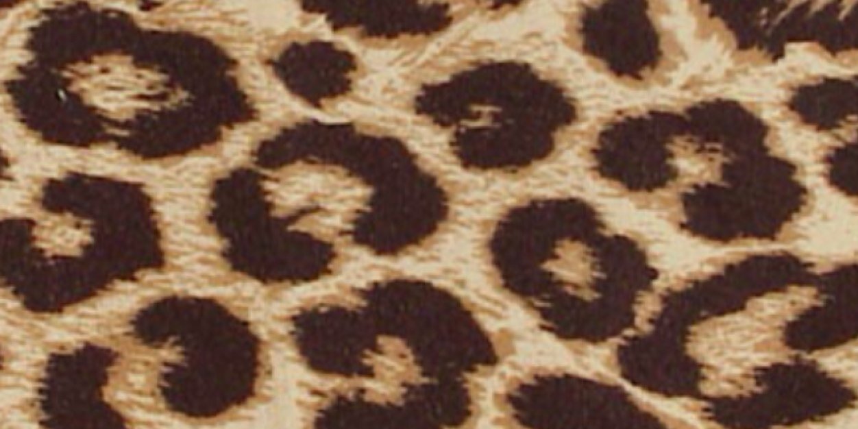 caldick22's profile banner image