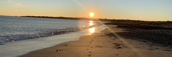 maggietarmey99 Profile Banner