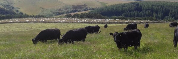 BarnsideFarm Profile Banner