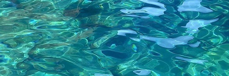 erotiscar's profile banner image
