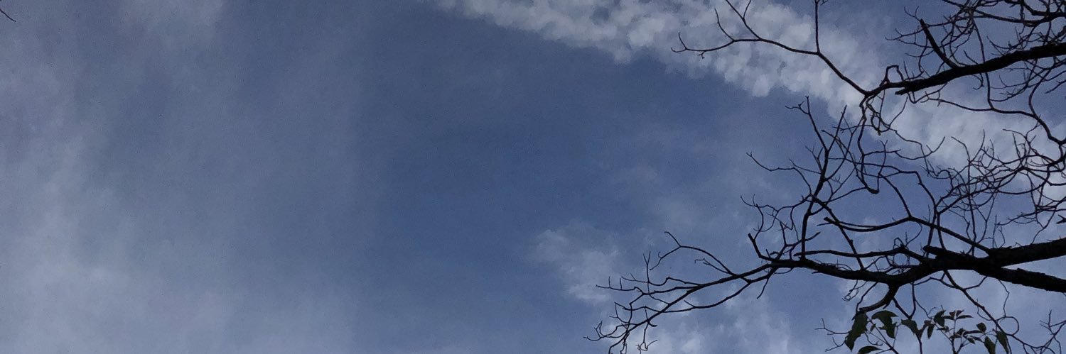 anaibs's profile banner image