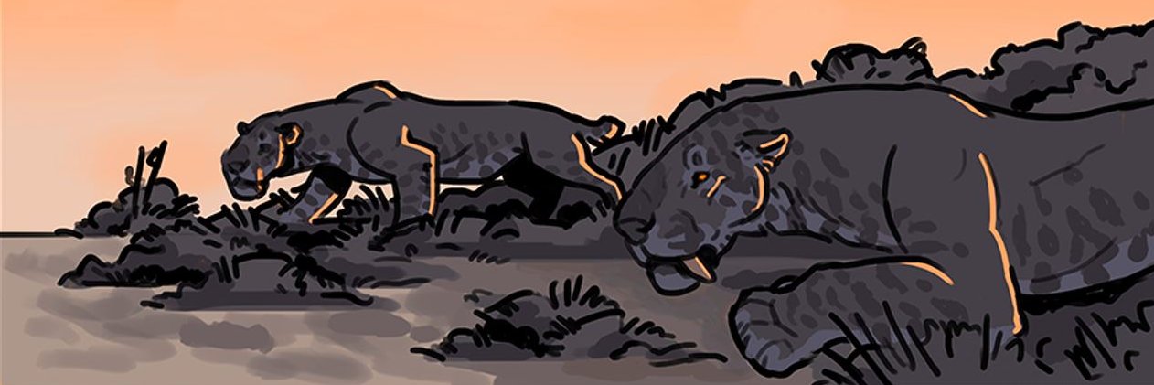AlorLeonel's profile banner image