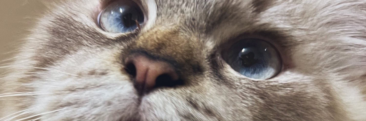 its_sara80's profile banner image