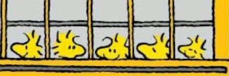 james 🍞 banner