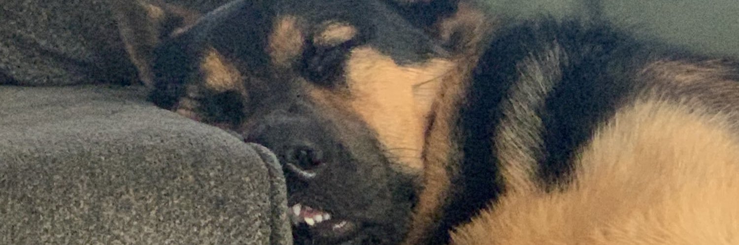 bretts_world_'s profile banner image