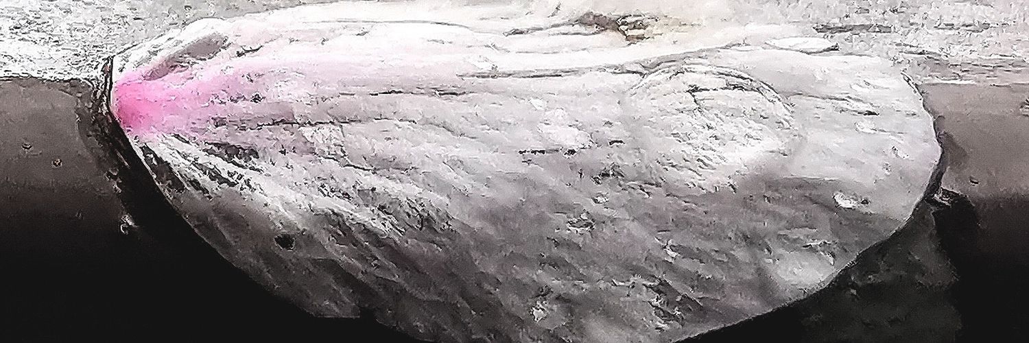 uchuujing's profile banner image