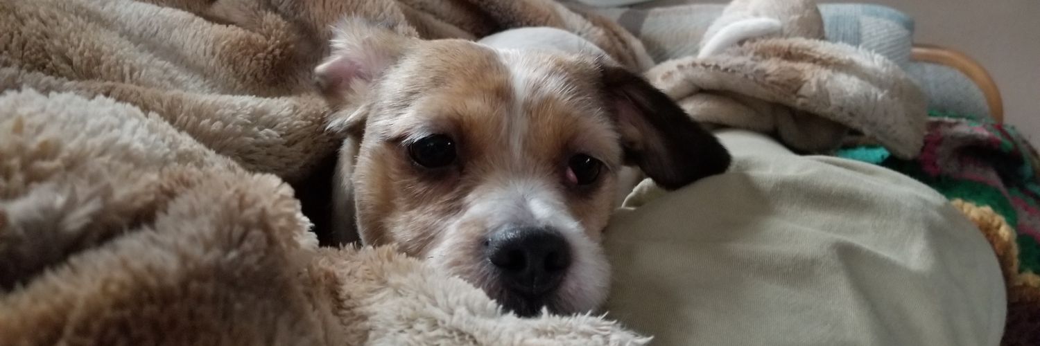thequentinbenj's profile banner image