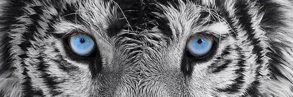 M3L0DAS's profile banner image