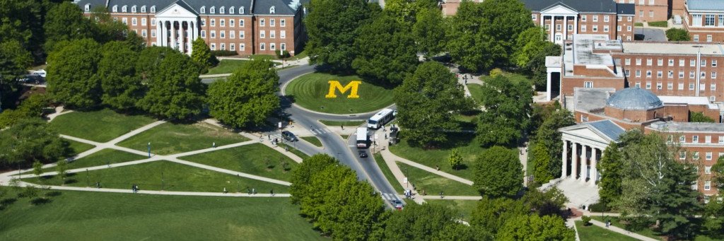 UMD Turf banner
