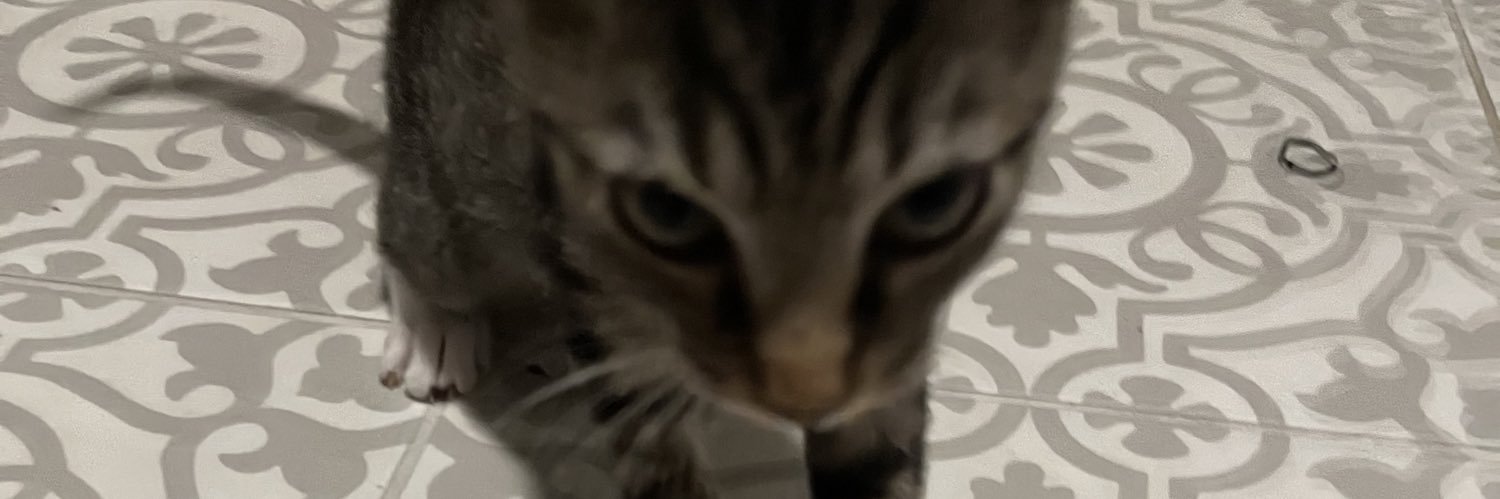 bananrian's profile banner image