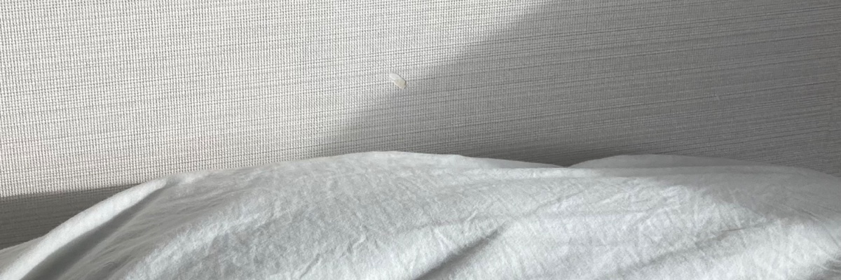 大袈裟 banner