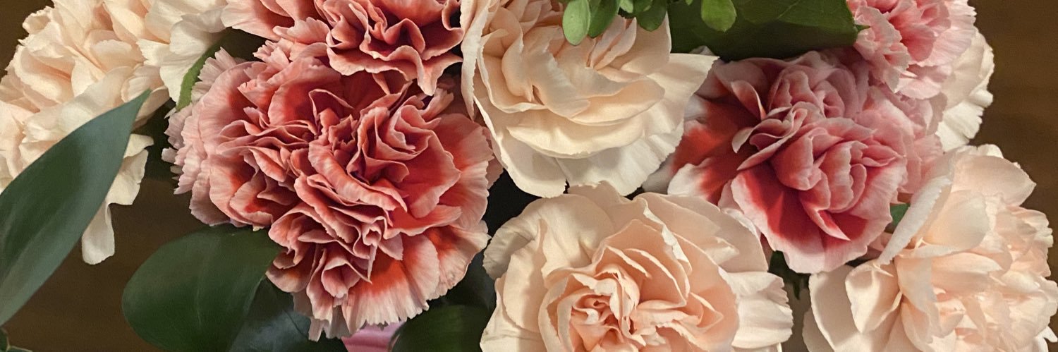 Briiuuss's profile banner image