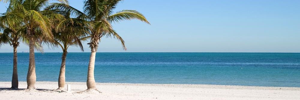 Chelsea E. Haines, PhD (she/her/hers) banner