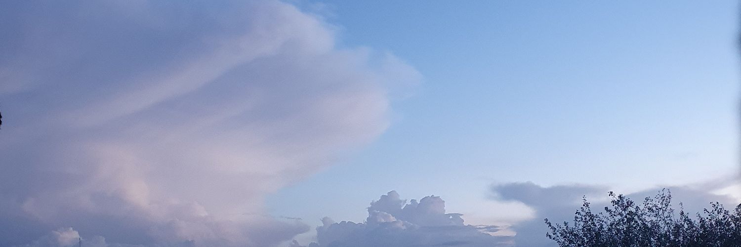 dvfne's profile banner image