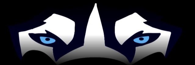 Helena Husky Sports's banner