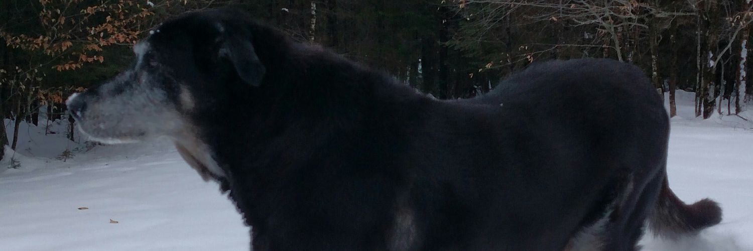 KarmaPolice104's profile banner image