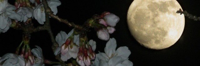 angie banner