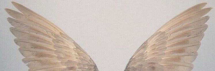 lleejohnson's profile banner image