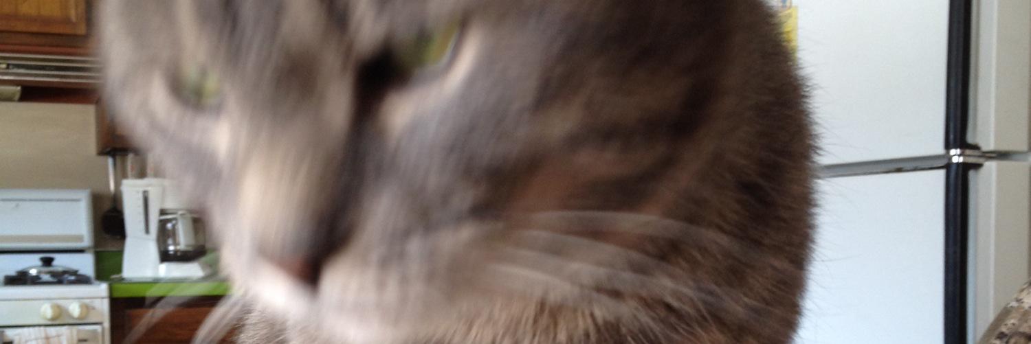 Yo_Betch's profile banner image