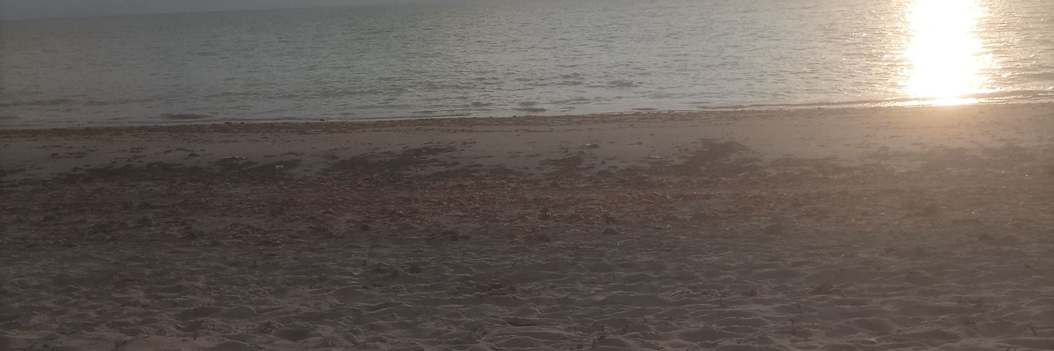 erciliofilho's profile banner image