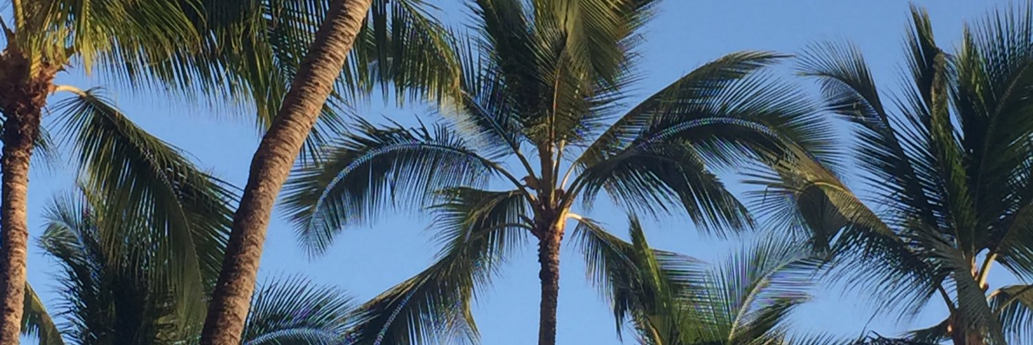 RaquelTonn's profile banner image