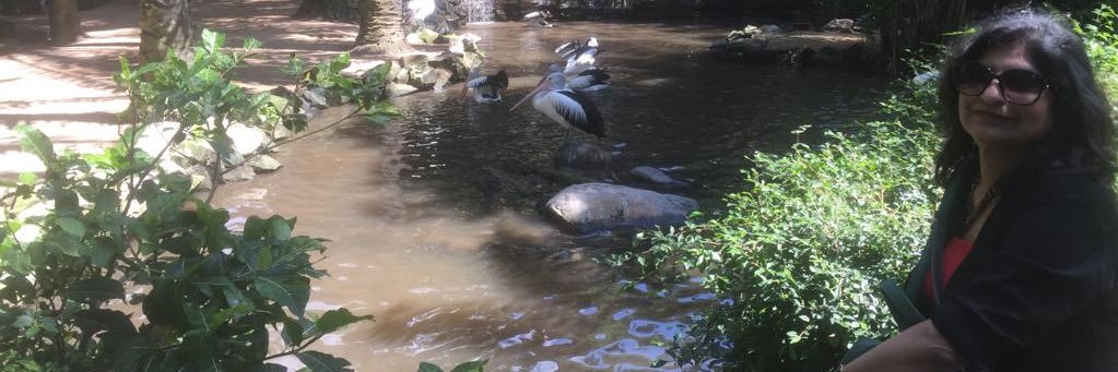 Vinny🇮🇳 banner