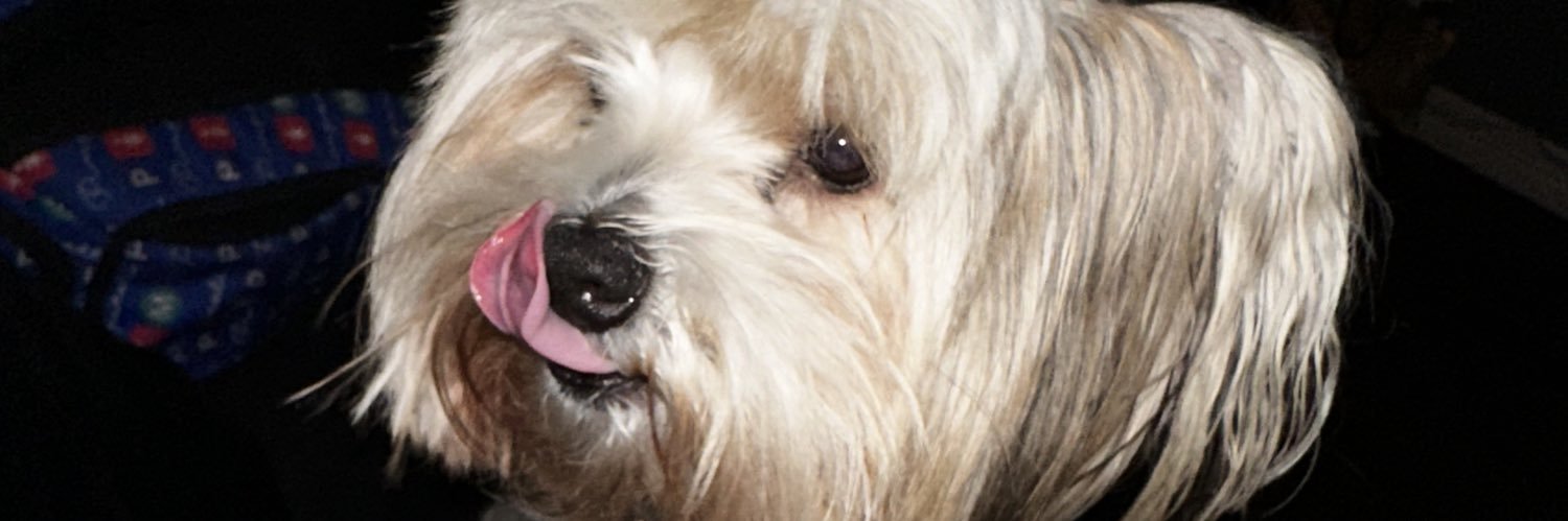 kissmygi's profile banner image