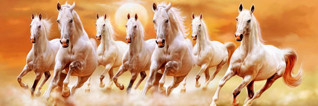 Nationalist 🇮🇳 banner