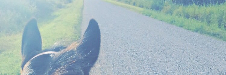 LowryRodeos2's profile banner image