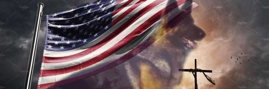 GSDLady28's profile banner image