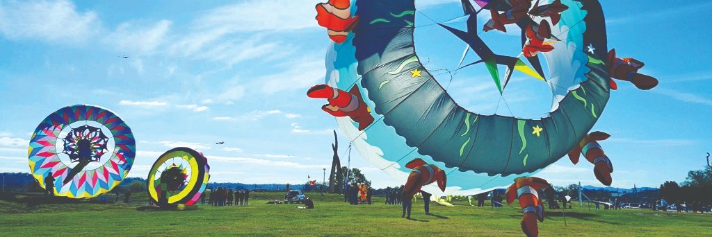 sculpturefields's profile banner image