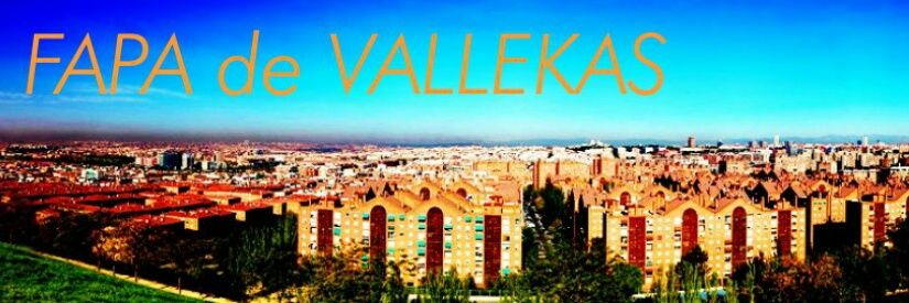 FAPA Vallekas banner