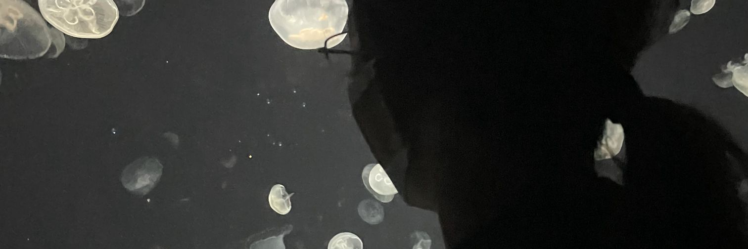 Meid_ss's profile banner image