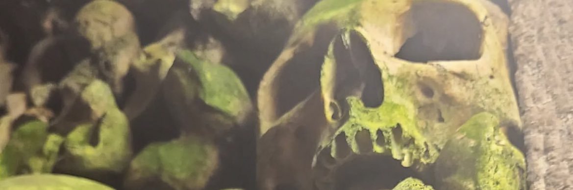 Rawnyjo's profile banner image