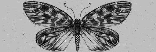 jshannel19's profile banner image