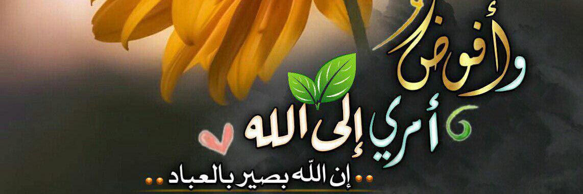 Samar_Ibraheem's profile banner image