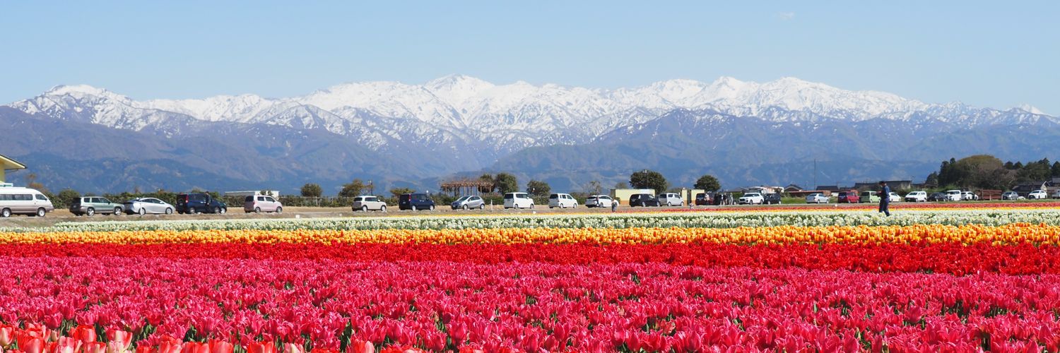 Makoto Norihara banner