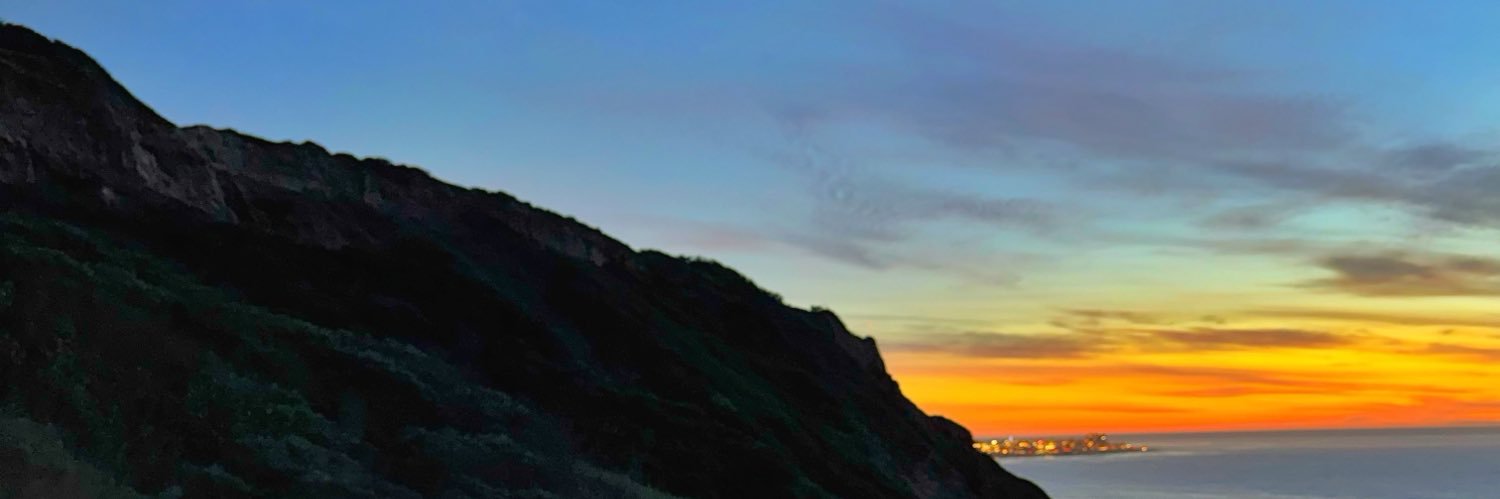 the_amberrose's profile banner image