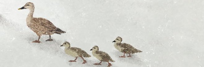 キジたそ banner
