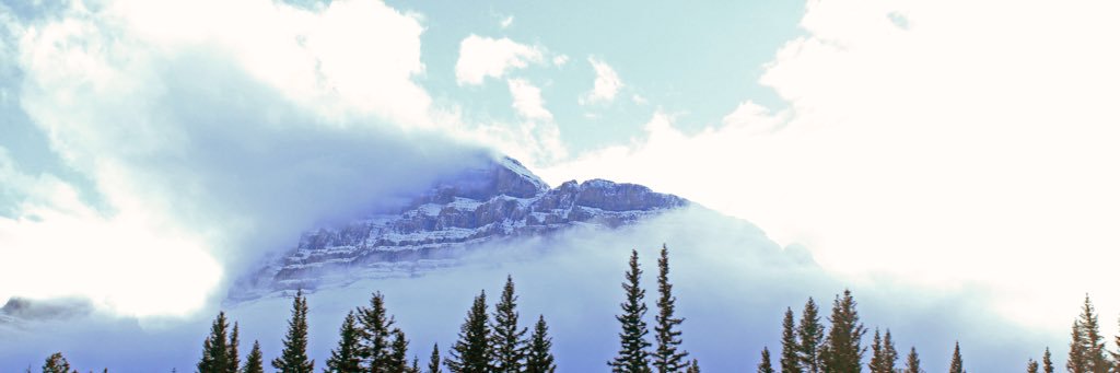 meldelury's profile banner image