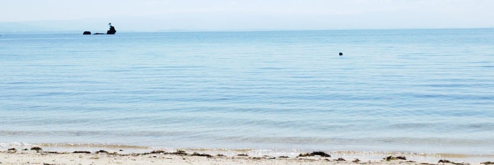 _leilriego's profile banner image