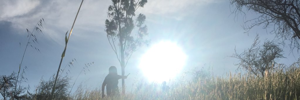 Geriquer's profile banner image