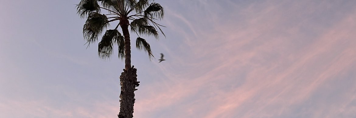 ☆ jc banner