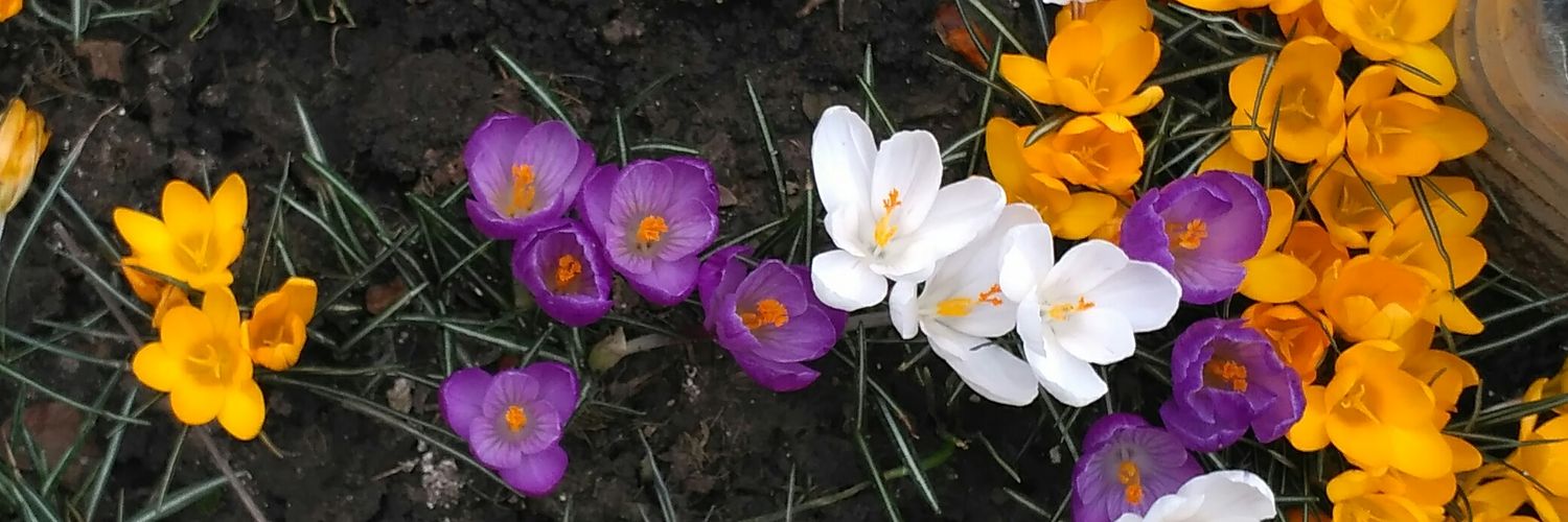 kev301273's profile banner image