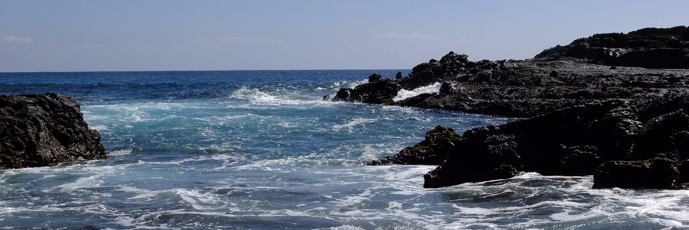 onwardtowaffles 🏴Ⓐ🐺🏳️‍🌈 banner