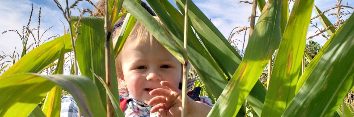 robbykiley's profile banner image