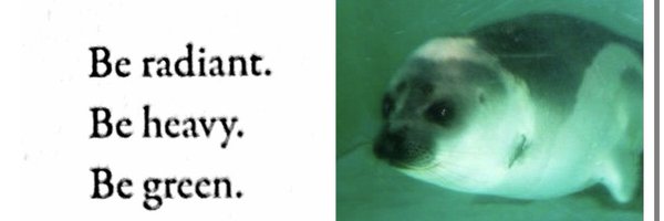 rissaoffline Profile Banner