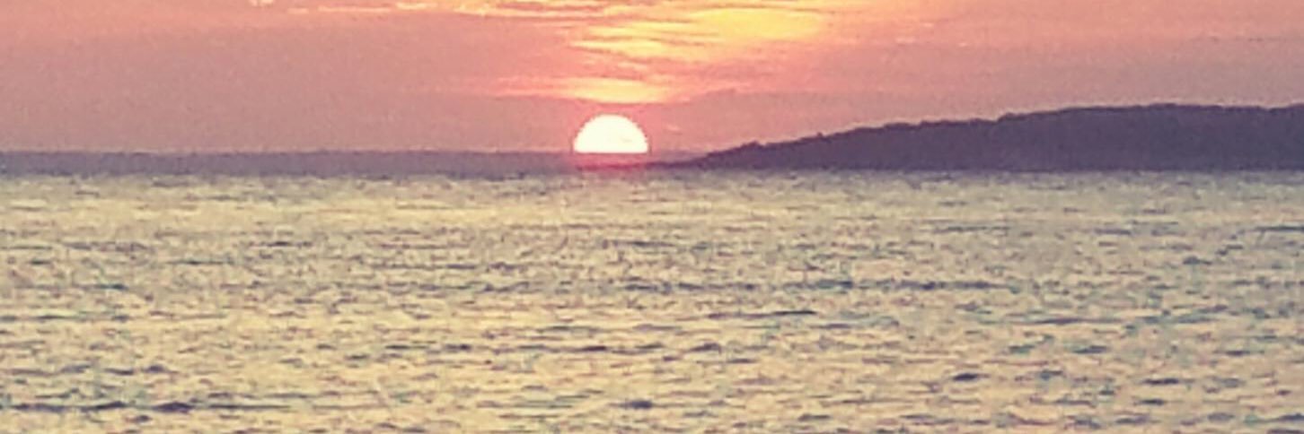 Jennifer Schelling banner