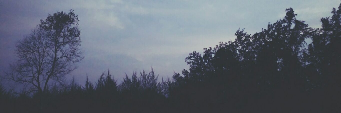 devitasarirsa's profile banner image