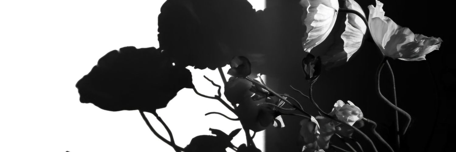 𝕱reya Nareswari. banner